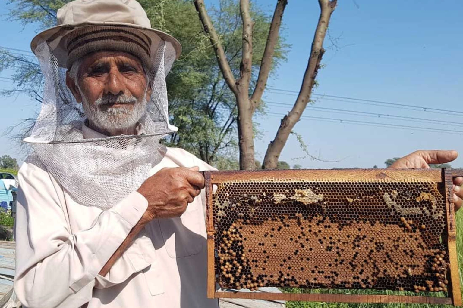 Beekeeper in Pakistan